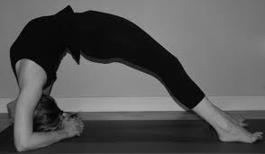 Illustration for article titled BRIMSG is also a Yogi